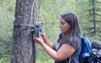 Celina Gray, a student intern at Salish Kootenai College, checks an automated camera.